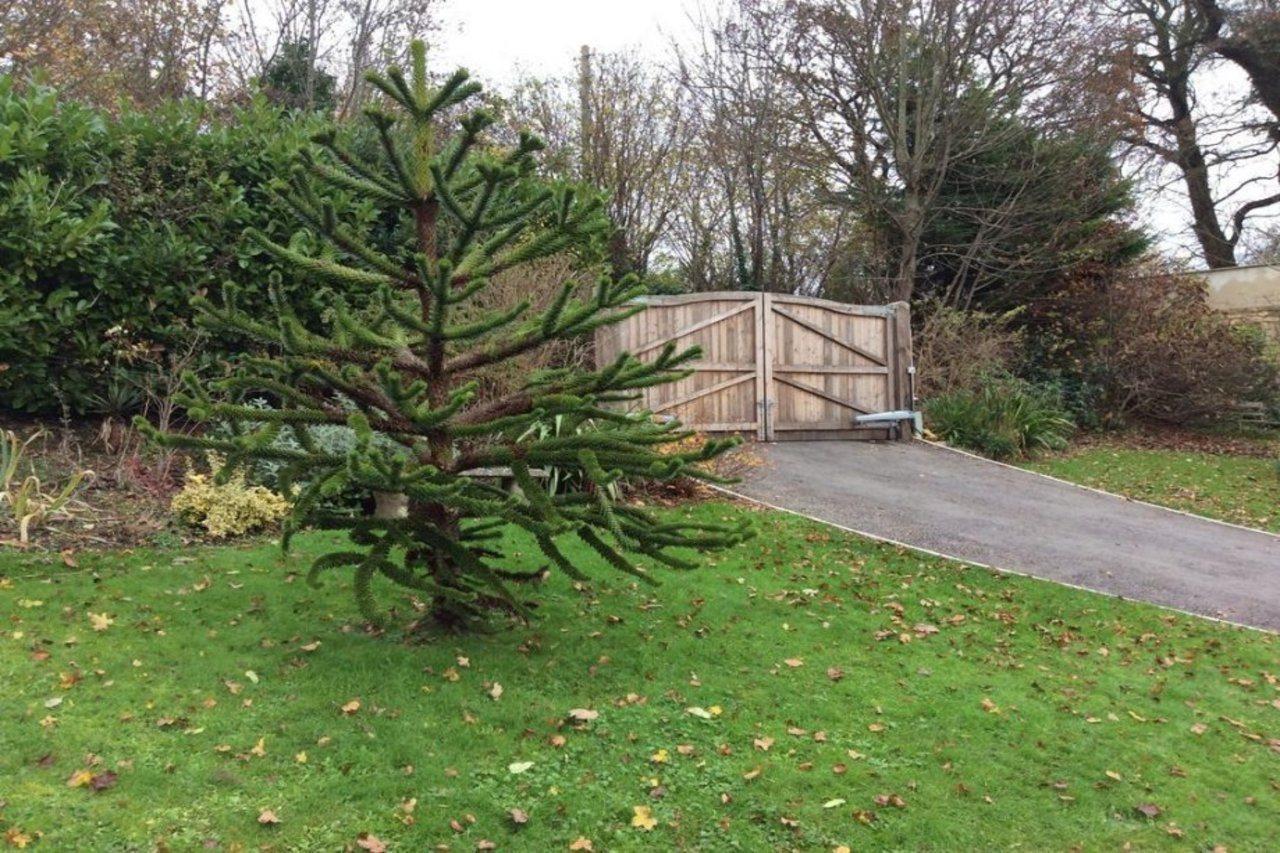 Longacre Bed and Breakfast Freshford Exteriör bild