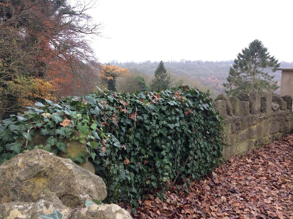 Longacre Bed and Breakfast Freshford Rum bild